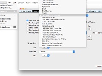 dataComet X Dialogs - dataComet Menu - Preferences - Printing - Select Window Popup